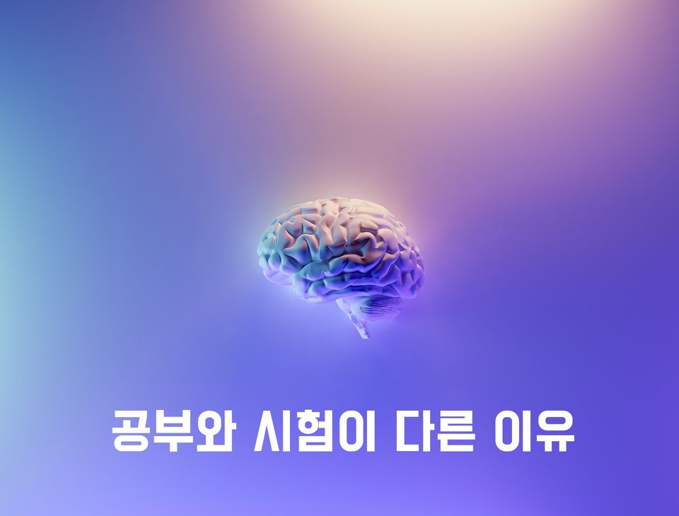 시험을 잘 보는 학생은 무엇이 다른가?